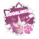 𝜗𝜚 GOOBLINS .ᐟ‧₊˚ 🐾