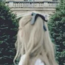 ⋆˚࿔ wonderland 𝜗𝜚˚⋆