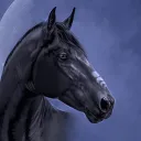 The Riding Rendezvous DISBANDED