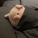 🌙pepo discord icon