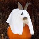 spookabeedya Discord Server Icon