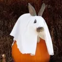 spookabeedya