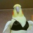✭KidsDreams✭