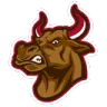 ACFL TX Longhorns