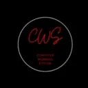 CWS COMPUTER WORKING SYSTEM