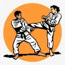 r/Karate