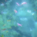 @waves  beach redo !! - social... Discord Server Icon