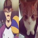 ⟢ airball sfw rvmp Discord Server Icon