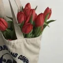 Vernorexia ₊ revamp Discord Server Icon