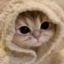 ꒰  🚀ㅣ 𝗡𝗲𝘄𝗯𝗶𝗲 𝗠𝗮𝗹𝗹  ꒱