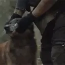 𝐒𝐲𝐥𝐯𝐞𝐫 𝐍𝐞𝐱𝐮𝐬 discord icon