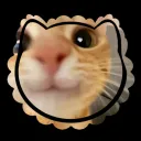 　　⨳　　/coven꜆　 　┈ Discord Server Icon