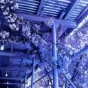 ﹒cybercity dj2l Discord Server Icon