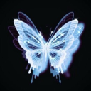 Butterfly Lounge Discord server icon