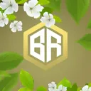 BeeRise | Анархический сервер