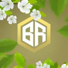 BeeRise | Анархический сервер — мониторинг Discord сервера, статистика и рейтинг