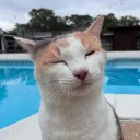 Blehh 🐈