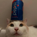 Discovery icon for Blehh 🐈 Discord server