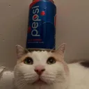 Blehh 🐈