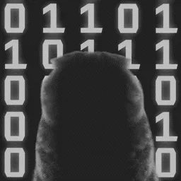 Козацький ❄ — мониторинг Discord сервера, статистика и рейтинг