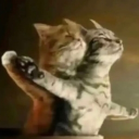 The mental institution Discord server icon