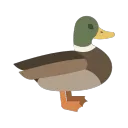 Mallard Community
