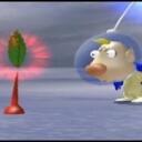The Pikmin Cult Discord Server Icon