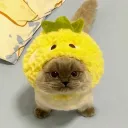 𝑶𝑺𝑲𝑰 𝑬𝑫𝑰𝑻𝑰𝑵𝑮 𝑪𝑶𝑴... Discord Server Icon