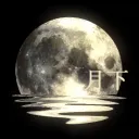 『🌙 │월하 月下』