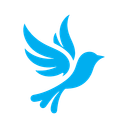 Discovery icon for BlueBird Simulations Discord server