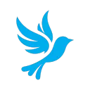 BlueBird Simulations