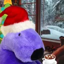 Polarz_Bear REAL