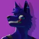 Dork Zone