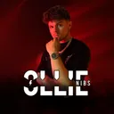 Ollie Nibs' Server