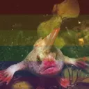 ˗ˏˋ Silly Fishes ´ˎ˗
