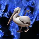 Gay Pelican Island 3