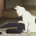 RyuNeko | CF  #DEAD