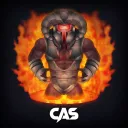 CA Services