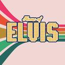   Home of ELVIS   Discord Server Icon