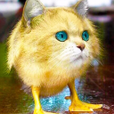 Shokubeni: Hate.FM Discord server icon