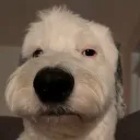 hi guys