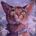 Warriors/DSMP rp Server Icon
