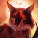 Warriors; Rise of the Dawn