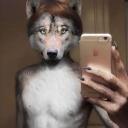 The Wolf Pack Discord Server Icon
