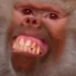 ChrisBMonkey's Monke Den