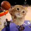 The Fuzz