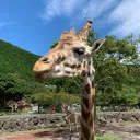 BL∀CK動物園