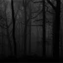 disc Discord Server Icon