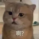 緋花/哈基米