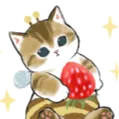 𑣲  euƞiƙɑ